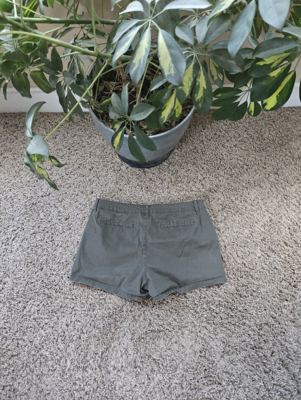 A.n.a Mid Rise Shorts - Picture 5 of 5